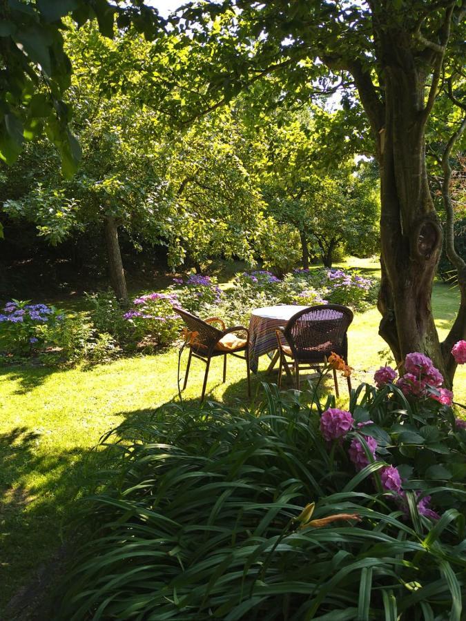 Ouddorp Vakantiehuisje Экстерьер фото