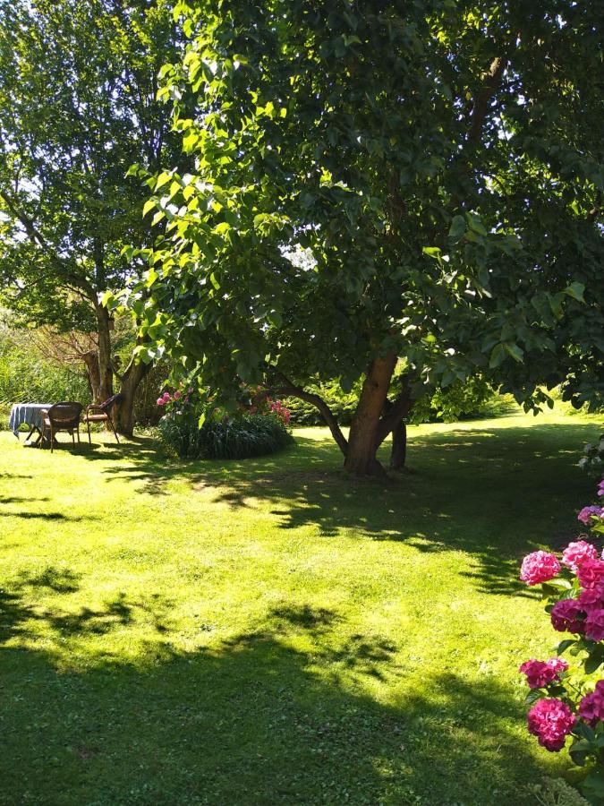 Ouddorp Vakantiehuisje Экстерьер фото