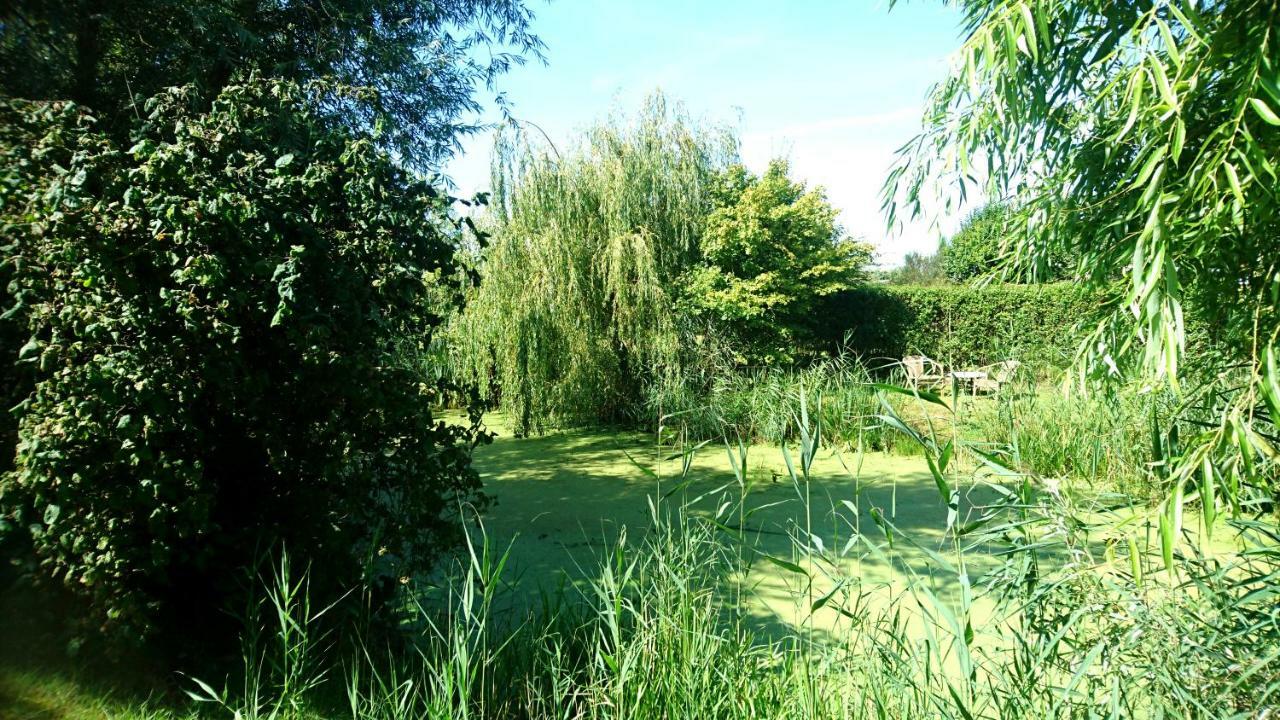 Ouddorp Vakantiehuisje Экстерьер фото